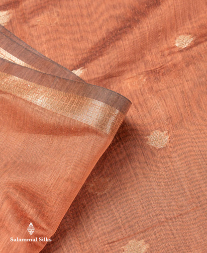 Beautiful Light Chocolate Maheshwar Cotton Saree With Contrast Light Lavender Blouse