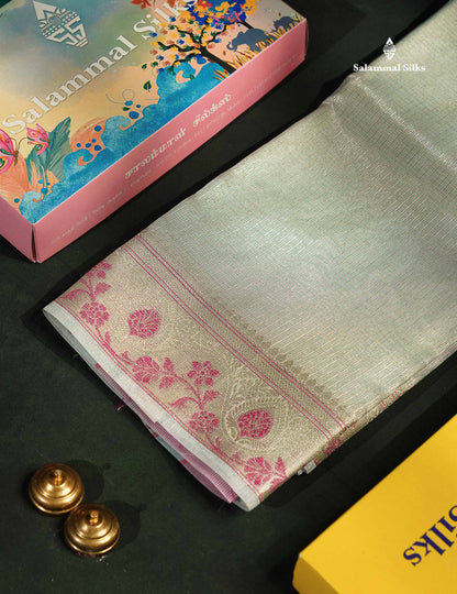Tissue Saree -Cream Green Netted Along With Fancy Border