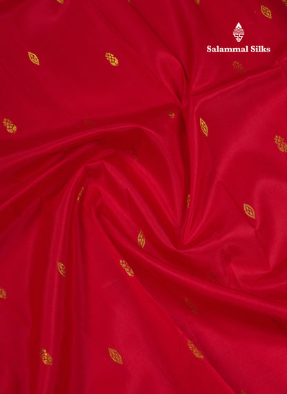 Beautiful Chilly Red Pure Kanjivaram Silk Saree With Contrast Violet Traditional One Side Border