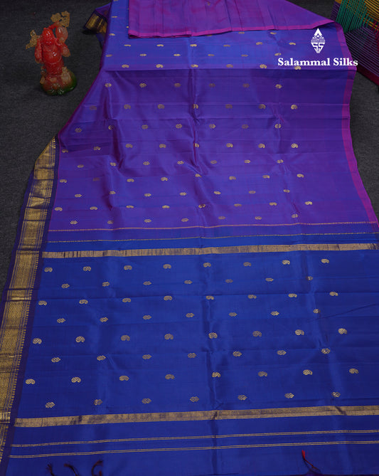 Beautiful Dual Tone Violet Pure Kanjivaram Silk Saree With Contrast Navy Blue Traditional One Side Border