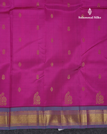 Beautiful Vadamalli Pure Kanjivaram Silk Saree With Contrast Blue Shade Traditional One Side Border