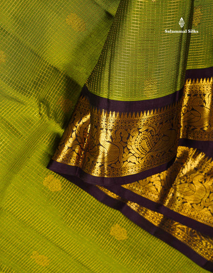 Pure Kanjivaram Silk Saree - Olive Green Tiny Zari Checks With Butta Along With Contrast Dark Brown Traditional Evening Morning Border