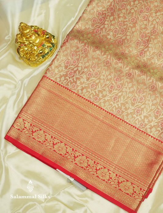 Light Orange Tissue Bridal Pure Kanjivaram Silk Saree With With Contrast Red Border