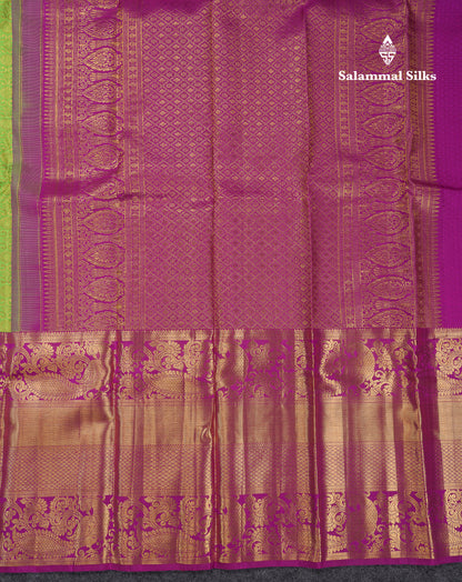 Beautiful Parrot Green Pure Kanjivaram Silk Saree With Contrast Dark Purple Traditional Evening Morning Border