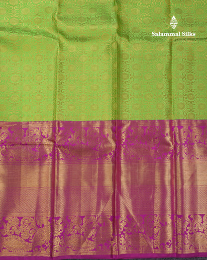 Beautiful Parrot Green Pure Kanjivaram Silk Saree With Contrast Dark Purple Traditional Evening Morning Border