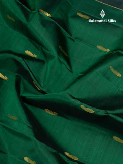Olive Mustard Yellow Pure Kanjivaram Silk Saree With Contrast Dark Purple Traditional Border