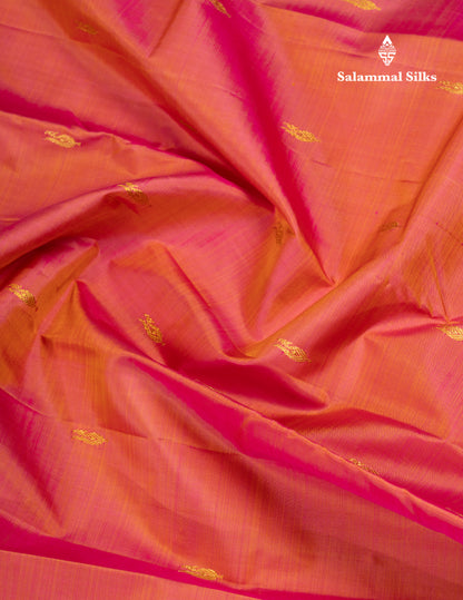 Dual Tone Pinkish Orange Pure Kanjivaram Silk Saree With Contrast Vadamalli Traditional Small Border