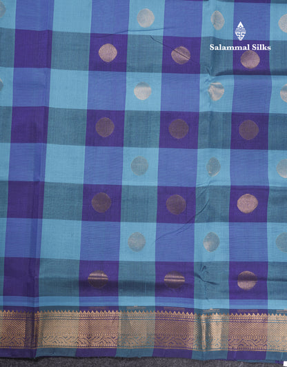 Paalum Pazham Checks Pure Silk Cotton Saree With Contrast Violet Blouse