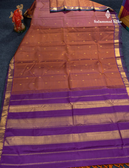 Brown Pure Kanjivaram Silk Saree With Contrast Dark Purple Traditional Small Border