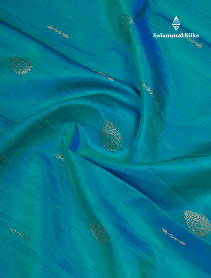 Dual Tone Sapphire Green Pure Kanjivaram Silk Saree With Contrast Vadamalli Traditional Border