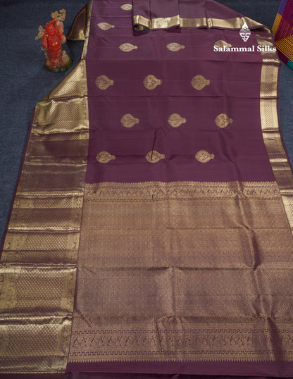 Dark Brown Pure Kanjivaram Silk Saree With Traditional Evening Morning Border