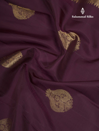 Dark Brown Pure Kanjivaram Silk Saree With Traditional Evening Morning Border