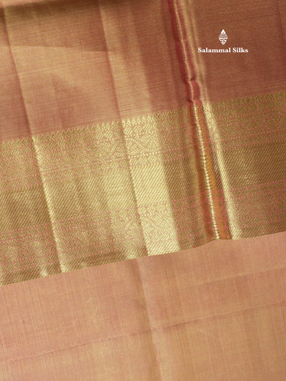 Beautiful Pink Tissue Plain Pure Kanjivaram Silk Saree (2G) Zari With Self Border