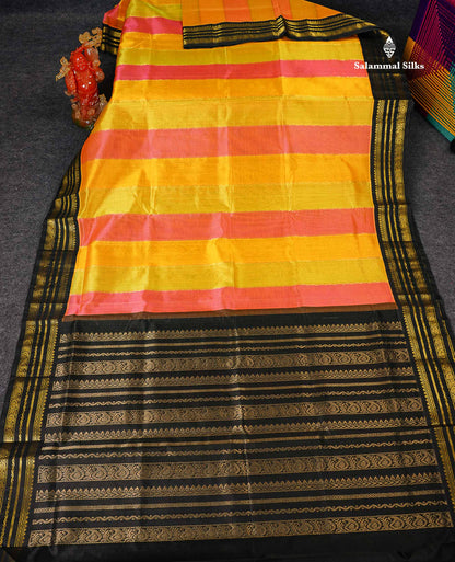 Pure Silk Cotton Saree - Multicolour Along With Contrast Black Border