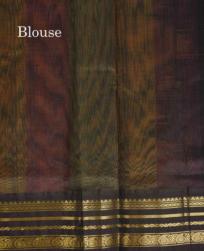 Pure Silk Cotton Saree - Multicolour Along With Contrast Black Border