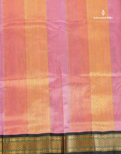 Pure Silk Cotton Saree - Multicolour Along With Contrast Black Traditional Border