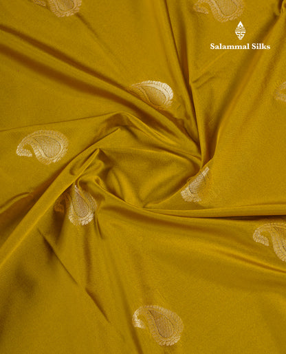 Beautiful Olive Mustard Yellow Semi Silk Saree With Contrast Violet Traditional Border