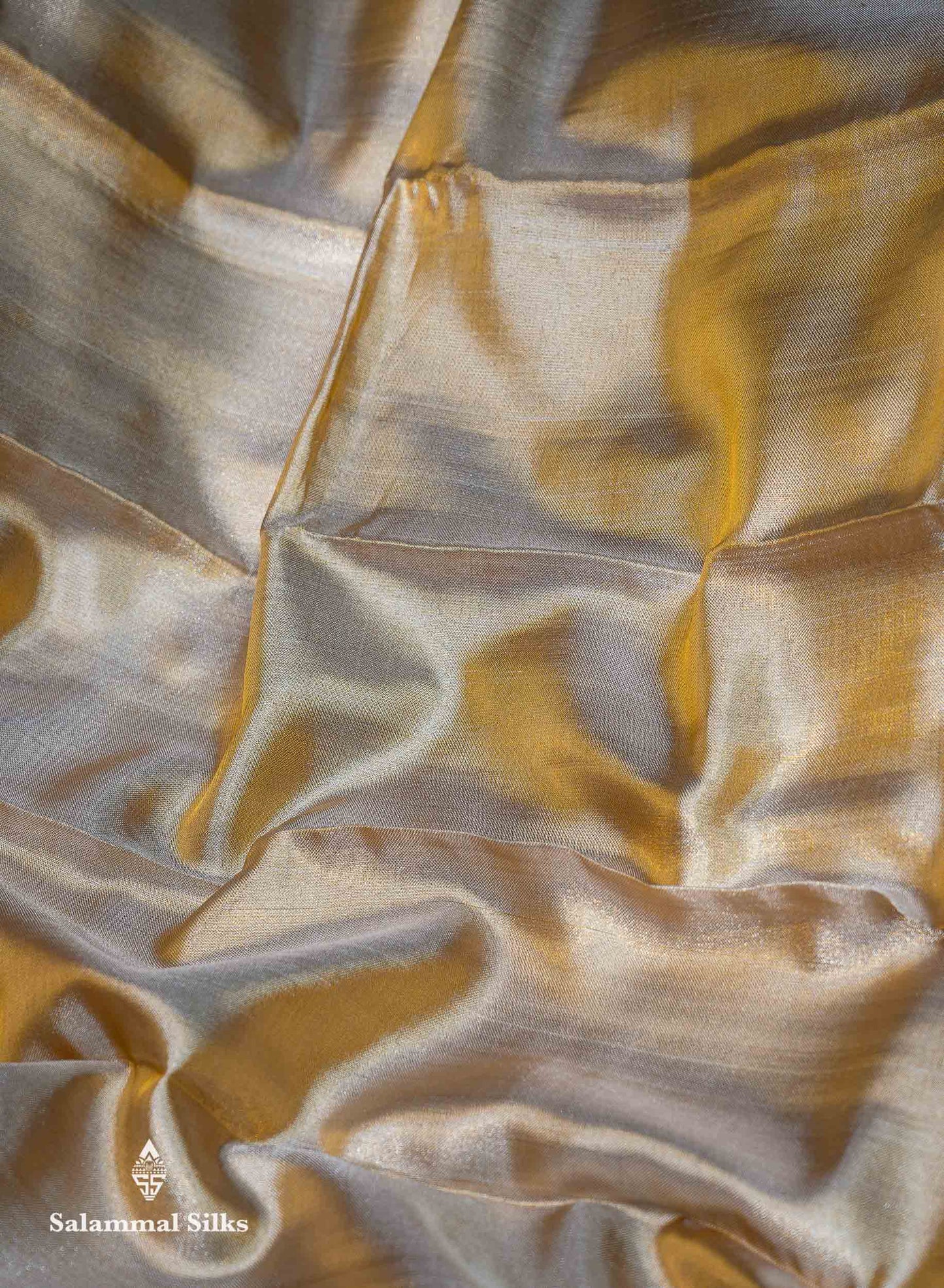 Beautiful Gold Plain Tissue Bridal Pure Kanjivaram Silk Saree With Contrast Chilly Red Traditional Evening Morning Border