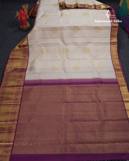 Korvai Beautiful Cream Pure Kanjivaram Silk Saree With Contrast Dark Purple Traditional Evening Morning Border