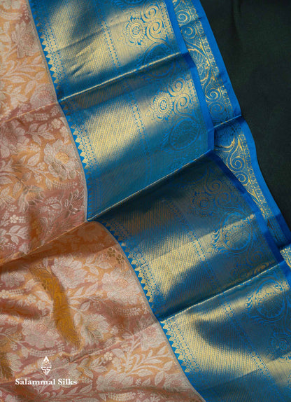 Beautiful Peach Tissue Bridal Pure Kanjivaram Silk Saree With Contrast Blue Traditional Border