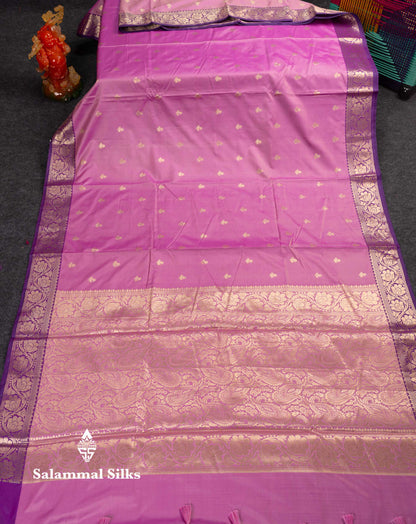 Beautiful Light Chocolate Semi Silk Saree With Contrast Violet Traditional Border