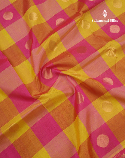 Paalum Pazham Checks Pure Silk Cotton Saree With Contrast Pink Blouse