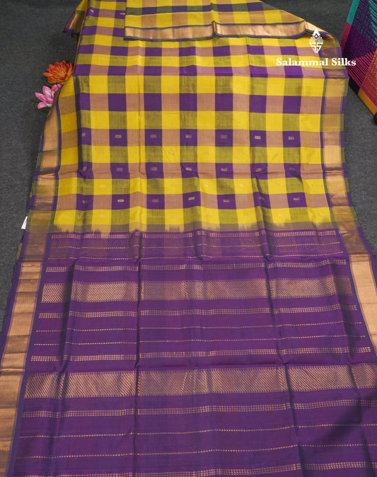 Paalum Pazham Checks Pure Silk Cotton Saree With Contrast Violet Blouse