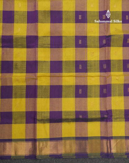 Paalum Pazham Checks Pure Silk Cotton Saree With Contrast Violet Blouse