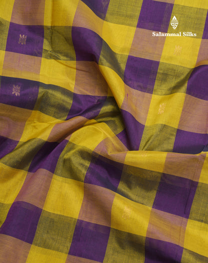 Paalum Pazham Checks Pure Silk Cotton Saree With Contrast Violet Blouse