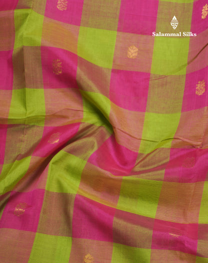 Paalum Pazham Checks Pure Silk Cotton Saree With Contrast Peacock Blue Blouse