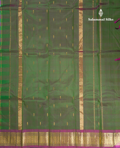 Paalum Pazhm Checks Beautiful Pure Kanjivaram Silk Saree With Traditional One Side Self Border