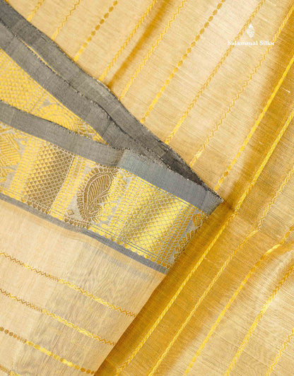 Pure Silk Cotton Saree - Cream Sandal Horizontal Line Along With Contrast Black Traditional Evening Morning Border
