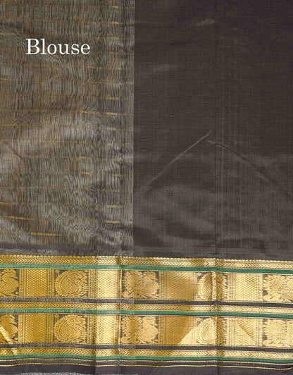 Pure Silk Cotton Saree - Cream Sandal Horizontal Line Along With Contrast Black Traditional Evening Morning Border