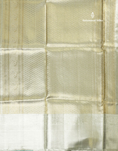 Beautiful Silver Colour Tissue Pure Kanjivaram Silk Saree (2G) Zari With Self Border