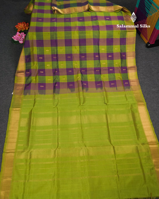 Paalum Pazham Checks Pure Silk Cotton Saree With Contrast Parrot Green Blouse