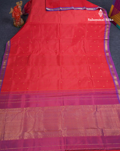 Beautiful Red Pure Kanjivaram Silk Saree With Dual Tone Violet Traditional Small Border