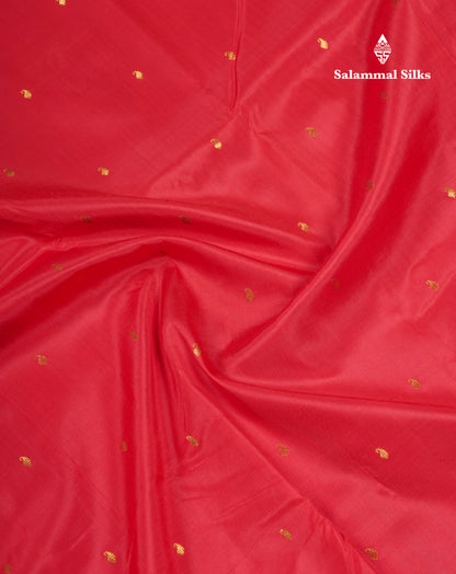 Beautiful Red Pure Kanjivaram Silk Saree With Dual Tone Violet Traditional Small Border