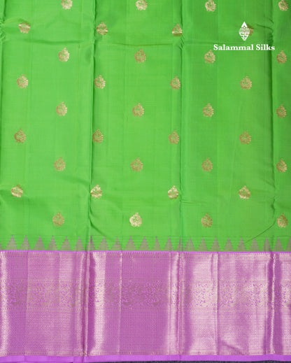 Beautiful Parrot Green Pure Kanjivaram Silk Saree With Contrast Lavender Traditional Evening Morning Border