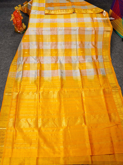 Full View Of Multicolour Pure Silk Cotton Saree