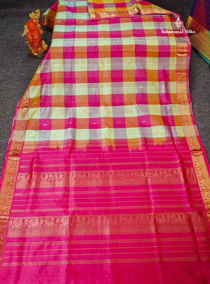 Full View Of Multicolour Pure Silk Cotton Saree