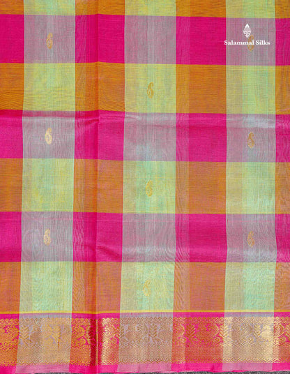 Traditional Border Of Multicolour Pure Silk Cotton Saree