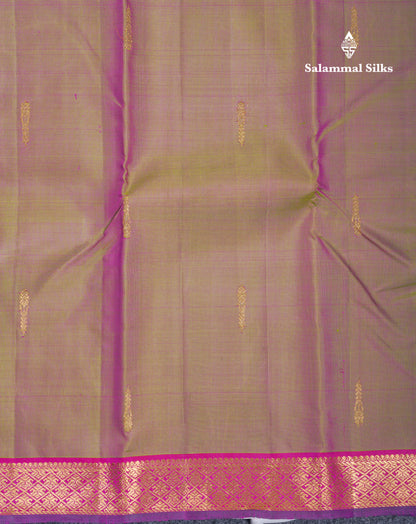 Beautiful Dual Tone Green Pure Kanjivaram Silk Saree With Violet Traditional Small Border