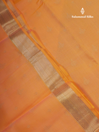 Beautiful Peach Pure Kanjivaram Silk Saree With Traditional Evening Morning Border