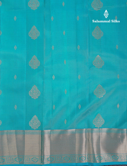 Beautiful Light Ramar Blue Pure Kanjivaram Silk Saree With Traditional Border