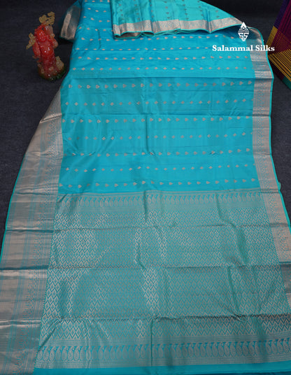 Beautiful Light Ramar Blue Pure Kanjivaram Silk Saree With Traditional Border