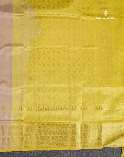 Pure Silk Cotton Saree - Cream Sandal Parrot Butta Along With Traditional Evening Morning Border
