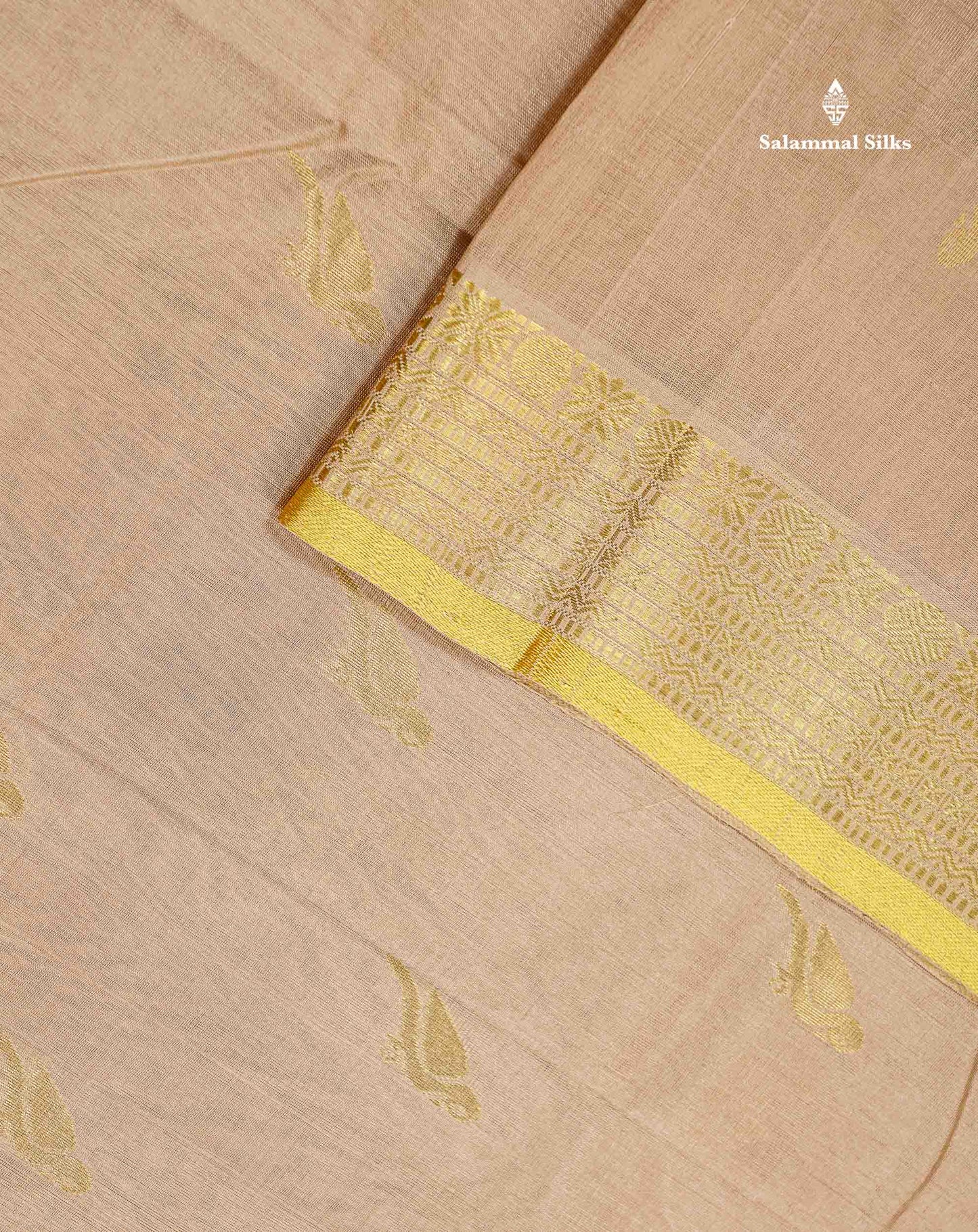 Pure Silk Cotton Saree - Cream Sandal Parrot Butta Along With Traditional Evening Morning Border