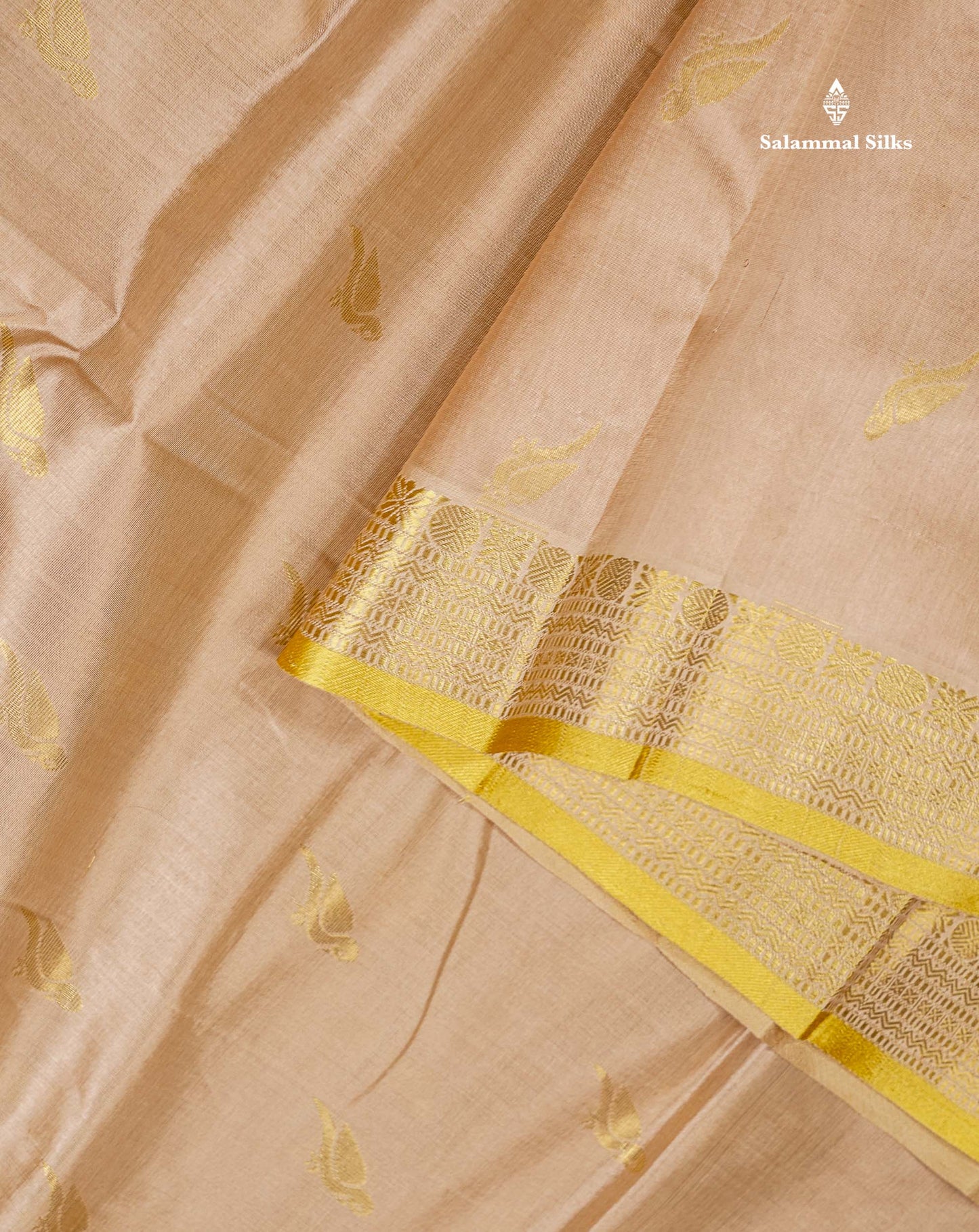 Pure Silk Cotton Saree - Cream Sandal Parrot Butta Along With Traditional Evening Morning Border