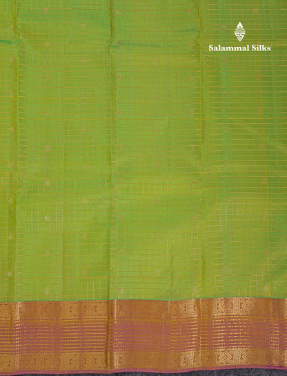 Beautiful Parrot Green Traditional Checks And Buttas Pure Kanjivaram Silk Saree With Contrast Violet Border