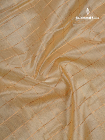 Beige Checks Pure Silk Cotton Saree With Contrast Dark Violet Rettapet Traditional Border
